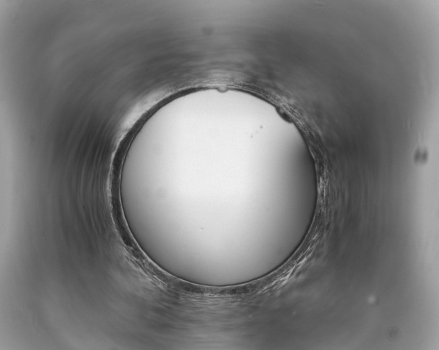 X0000090700292200707200935