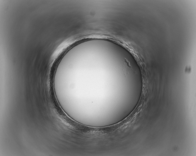 X0000090700296200707200935