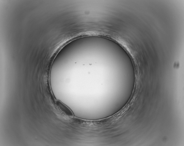 X0000090700297200707200935