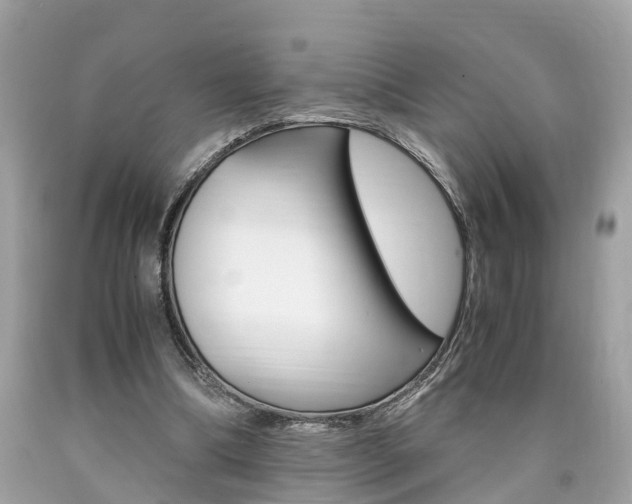 X0000090700298200707200935