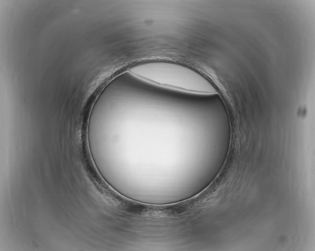 X0000090700299200707200935