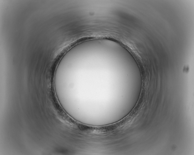 X0000090700303200707200935
