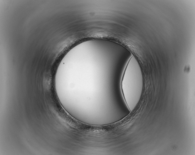X0000090700304200707200935