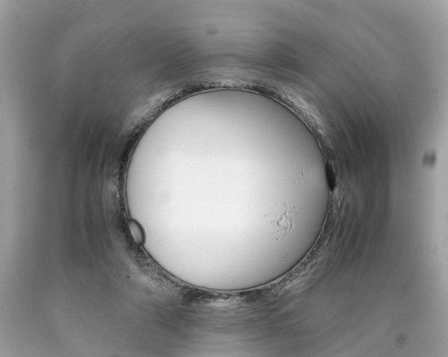 X0000090700306200707200935