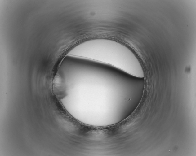 X0000090700307200707200935