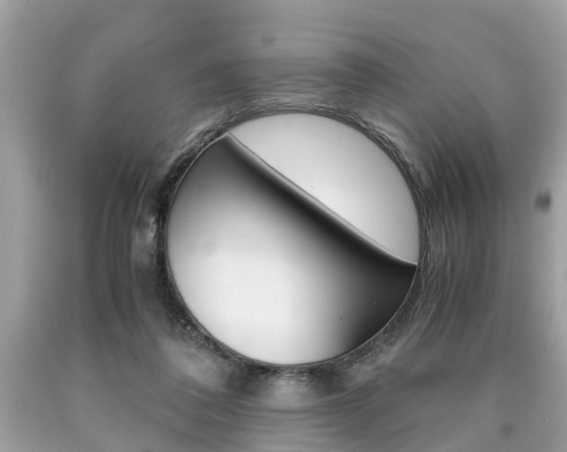 X0000090700308200707200935