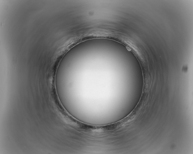 X0000090700309200707200935