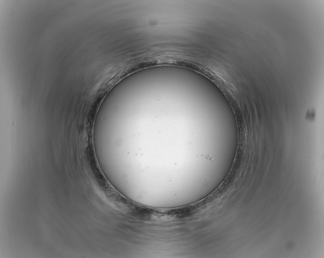 X0000090700311200707200935