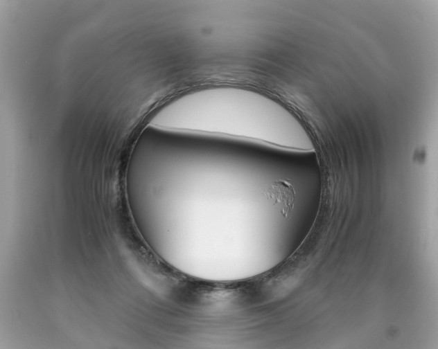 X0000090700312200707200934