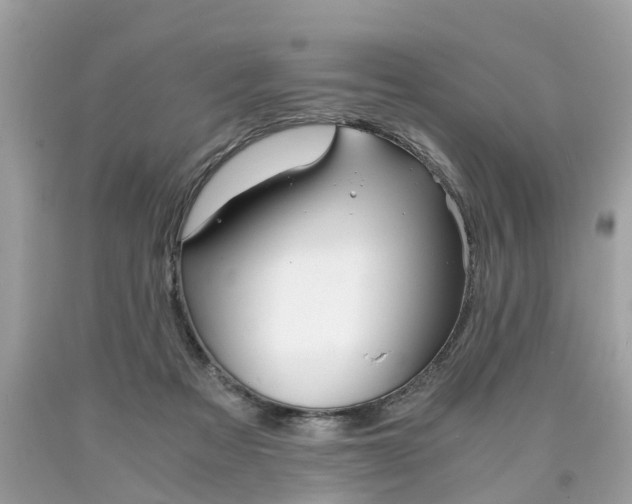 X0000090700313200707200934
