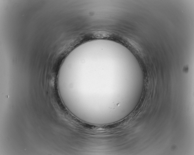 X0000090700315200707200934