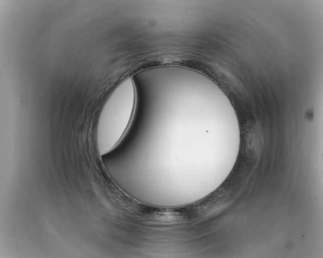 X0000090700316200707200934
