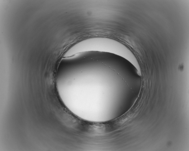 X0000090700317200707200934