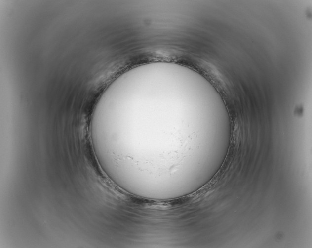 X0000090700318200707200934