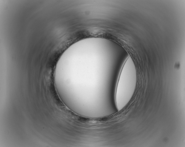 X0000090700319200707200934