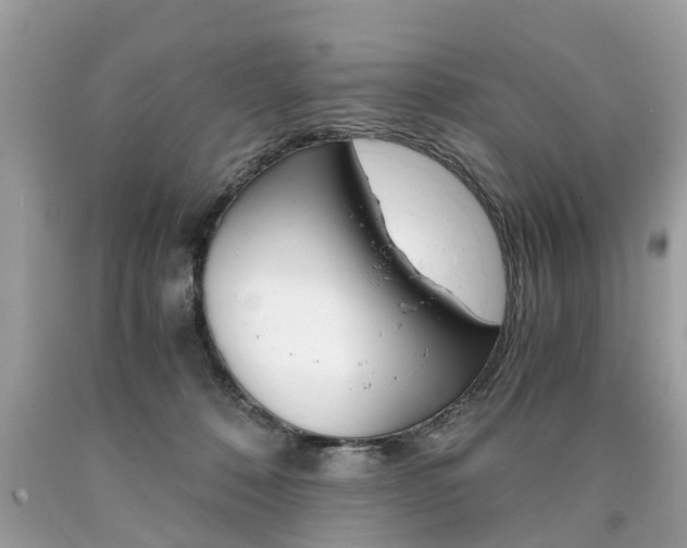 X0000090700320200707200934