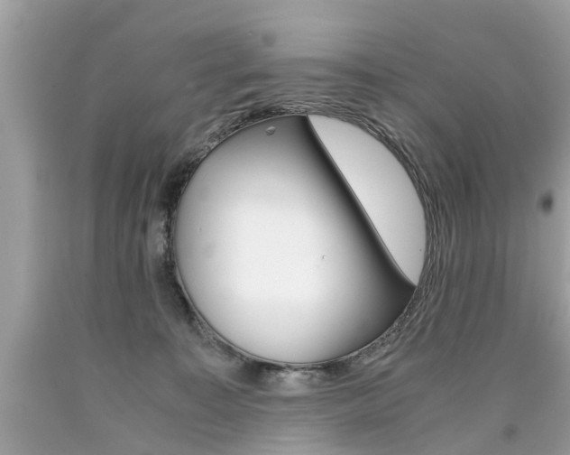 X0000090700323200707200934