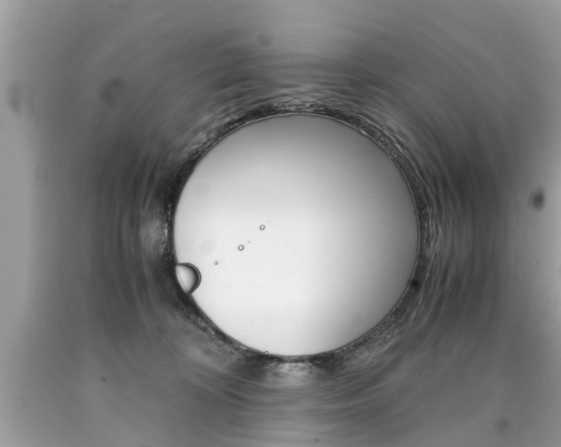 X0000090700324200707200934
