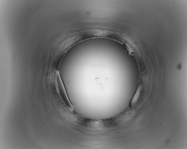 X0000090700325200707200934