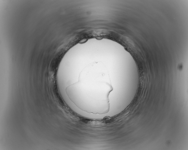X0000090700327200707200934