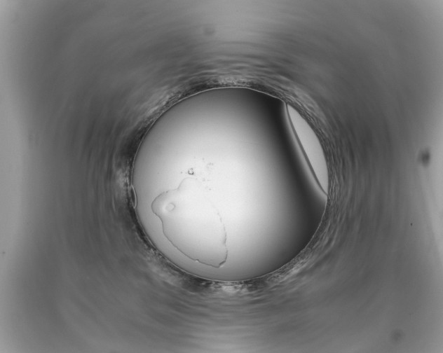 X0000090700329200707200934