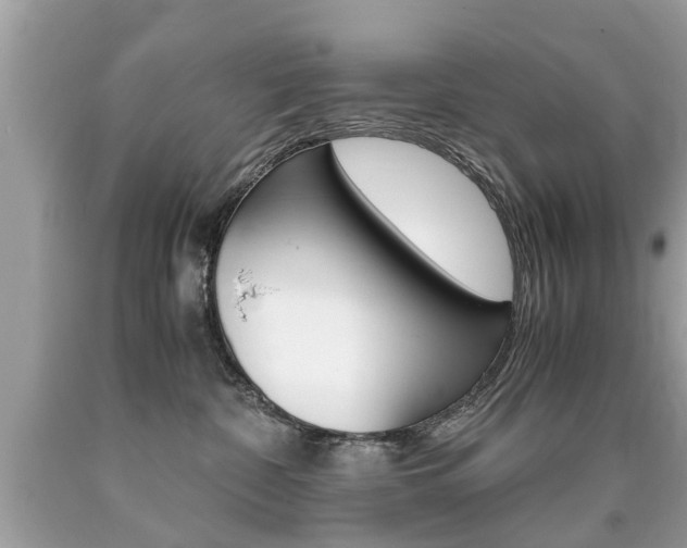 X0000090700332200707200934