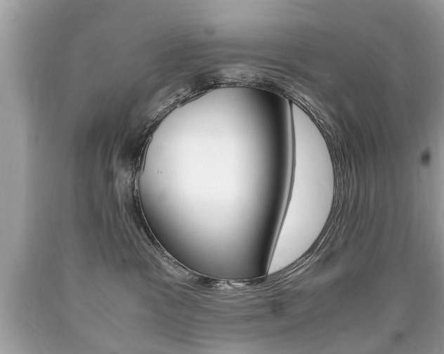 X0000090700333200707200934