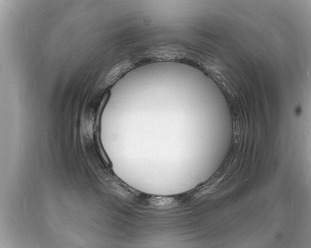 X0000090700334200707200934