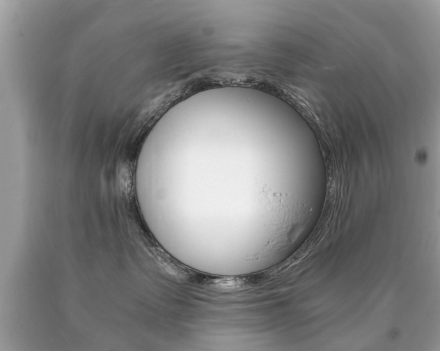 X0000090700335200707200934