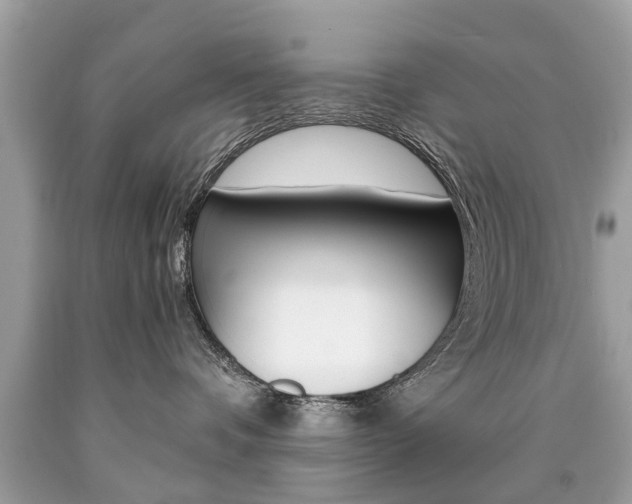 X0000090700336200707200934