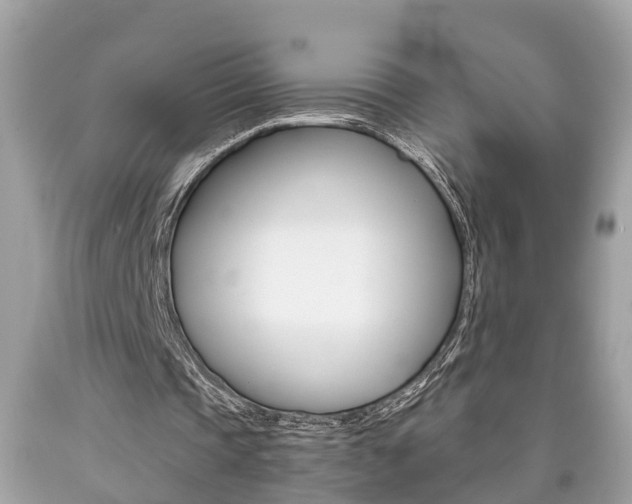 X0000090700337200707200933