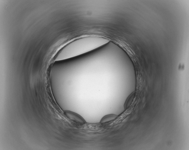 X0000090700338200707200933