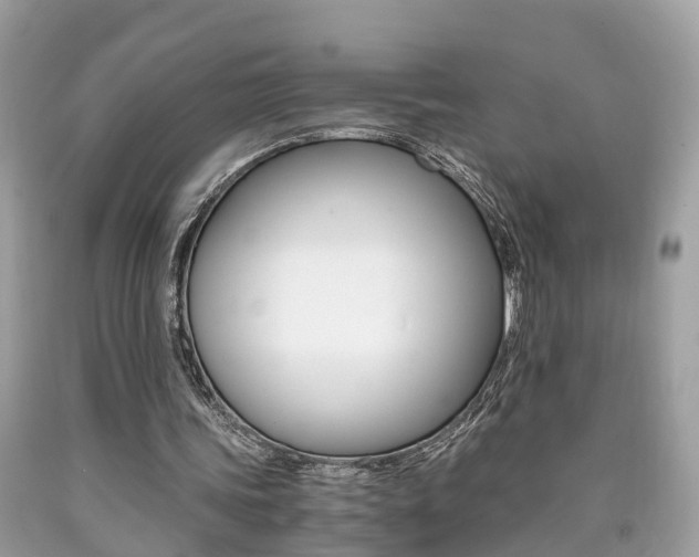 X0000090700339200707200934