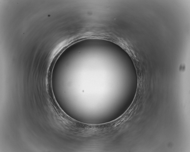 X0000090700340200707200934