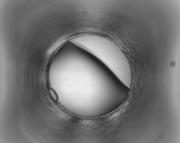 X0000090700341200707200934