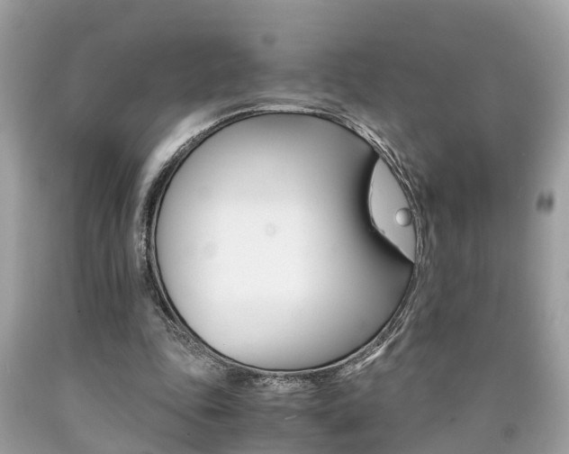 X0000090700343200707200934
