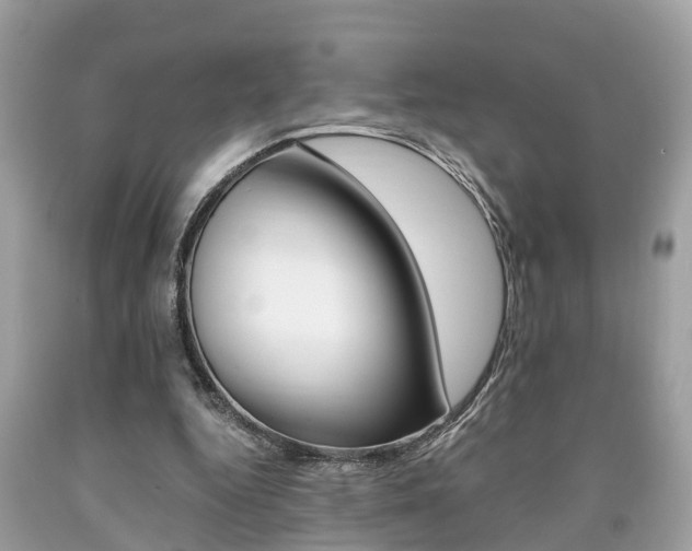 X0000090700344200707200934