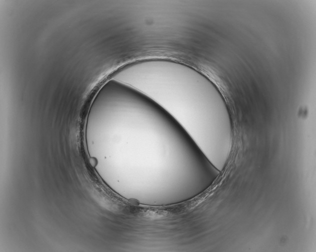 X0000090700346200707200934