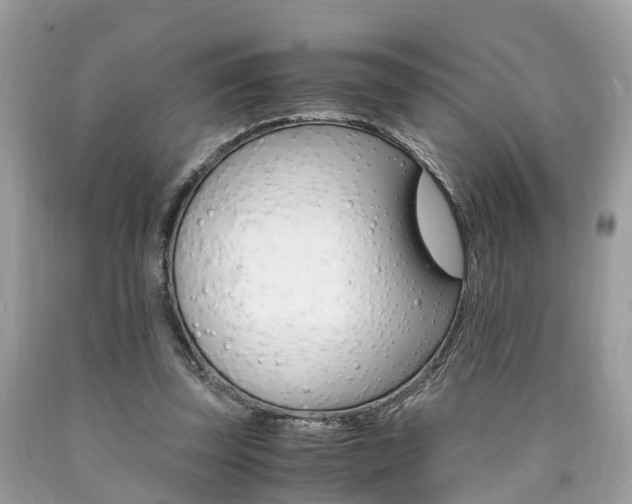 X0000090700347200707200934