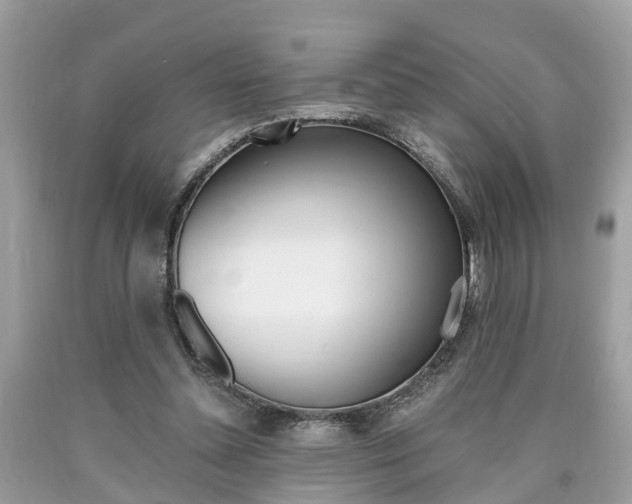 X0000090700348200707200934