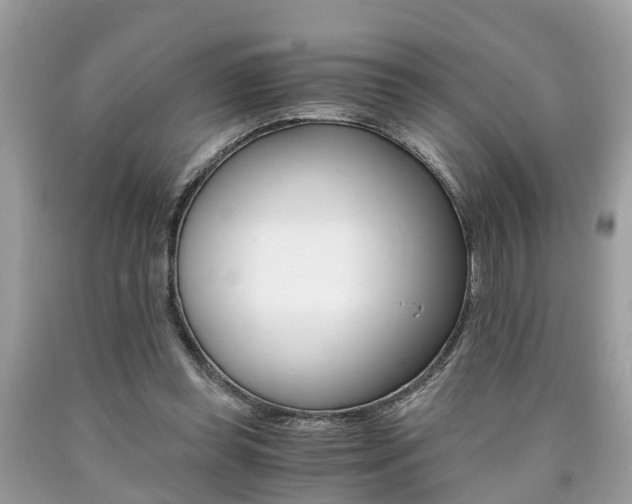 X0000090700349200707200934