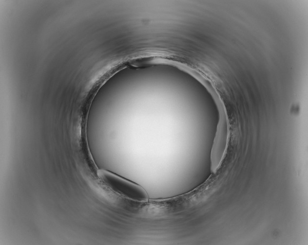 X0000090700350200707200934