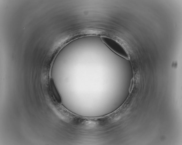 X0000090700352200707200934