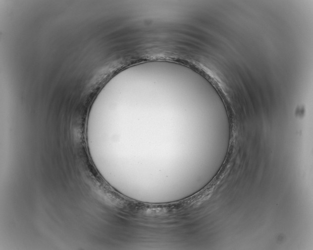 X0000090700353200707200934