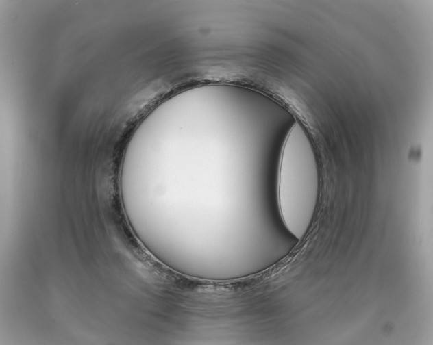 X0000090700354200707200934