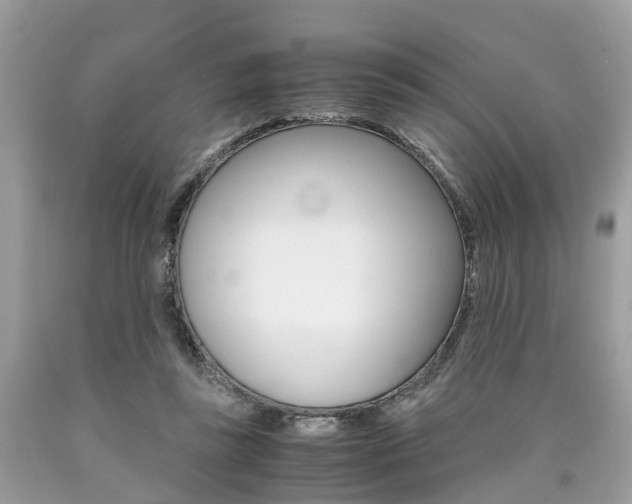 X0000090700355200707200934
