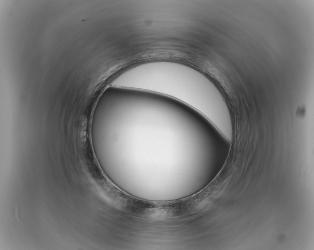 X0000090700356200707200934