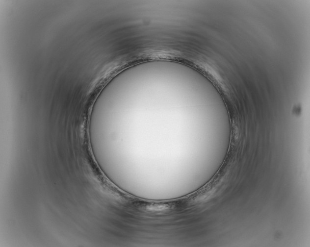X0000090700357200707200934