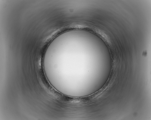 X0000090700358200707200934