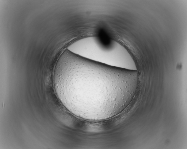 X0000090700359200707200934